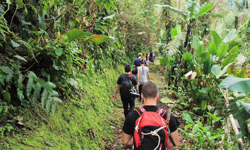 How to get to the Lost City? • Lost City Trek Colombia