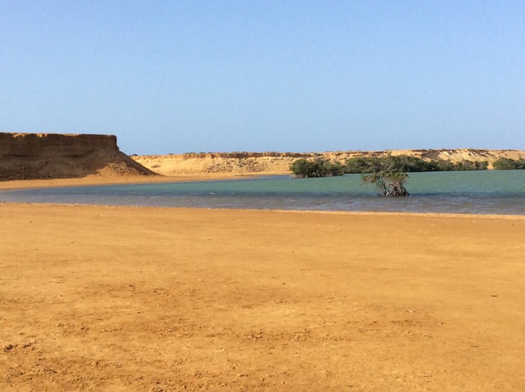 Image #2 de petitecherie8