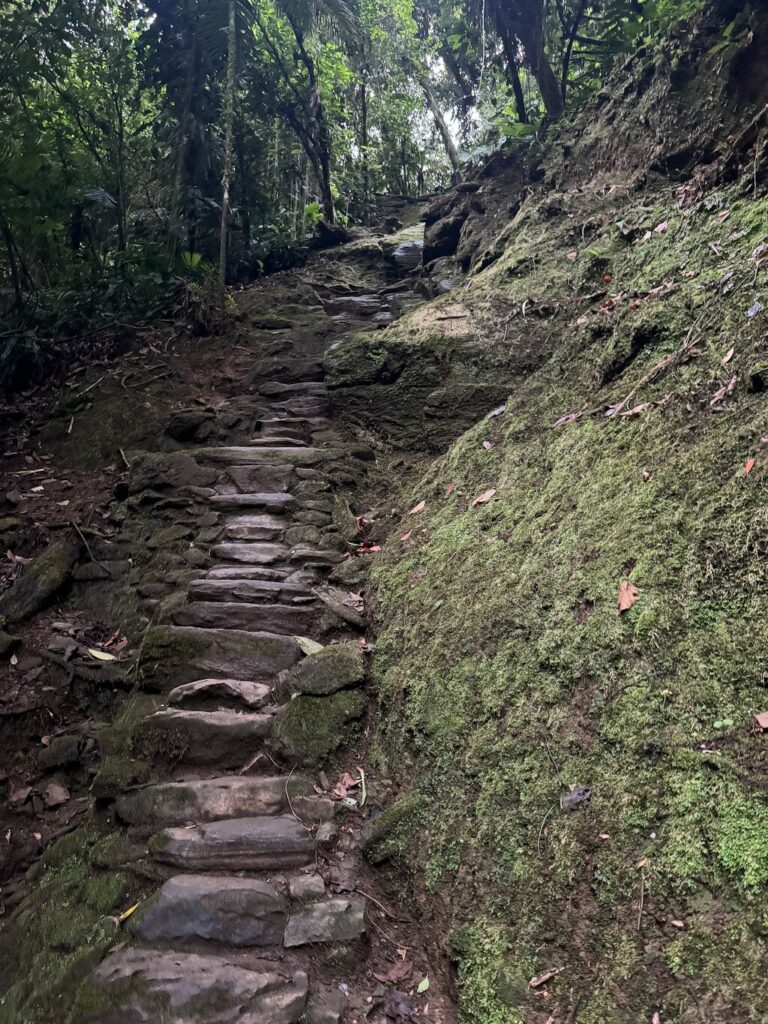 Afbeelding #1 van Bridget A