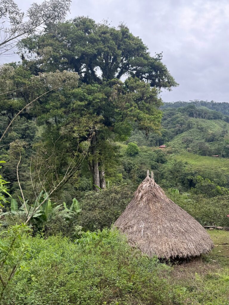 Afbeelding #3 van Bridget A