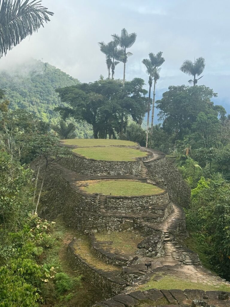 Afbeelding #4 van Bridget A