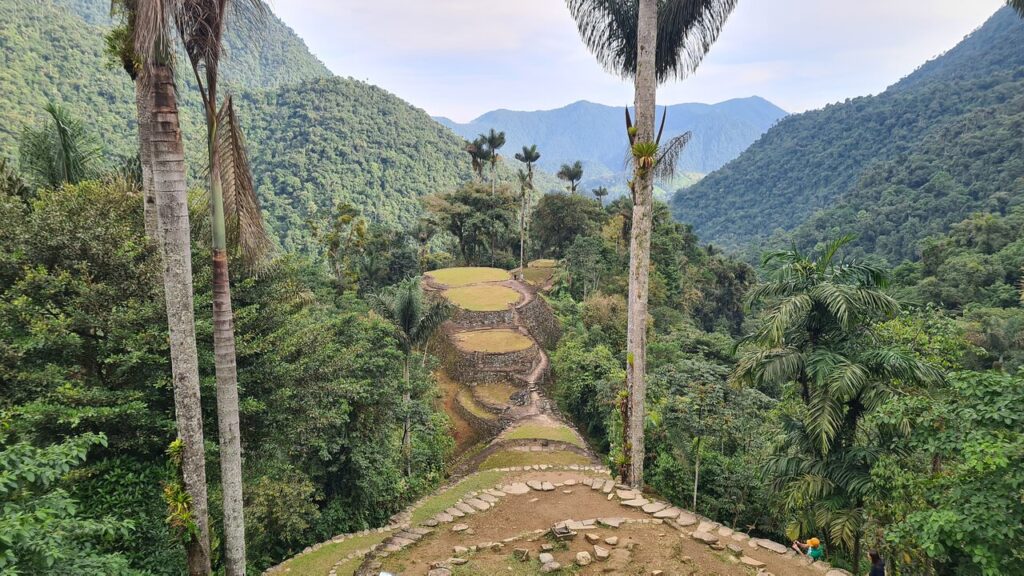 Bild #1 von Tobias K