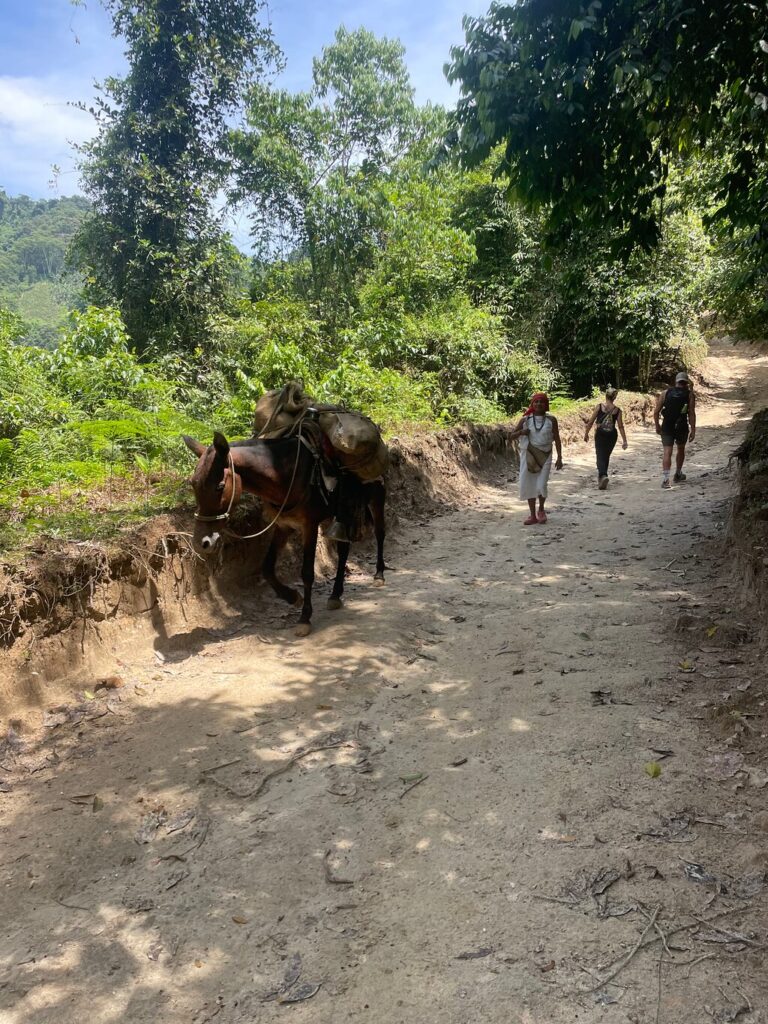 Image #1 de Albane G