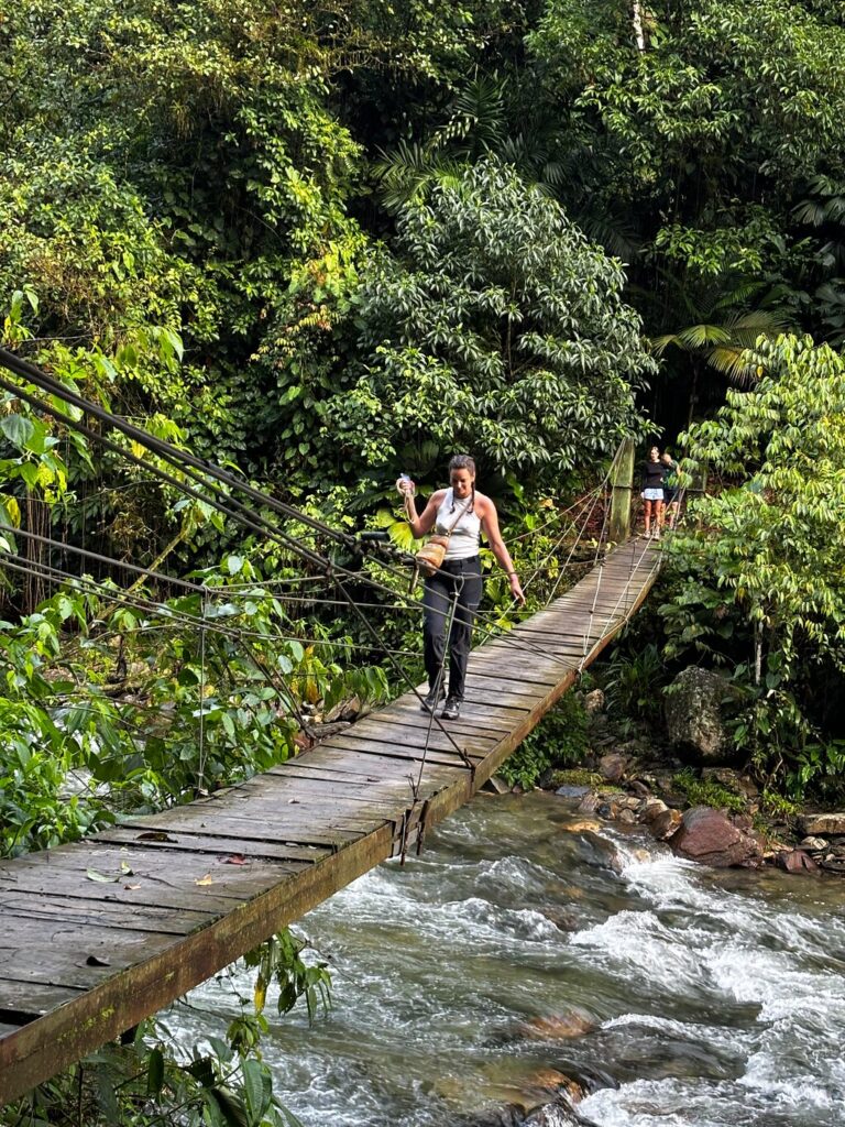 Image #2 de Albane G