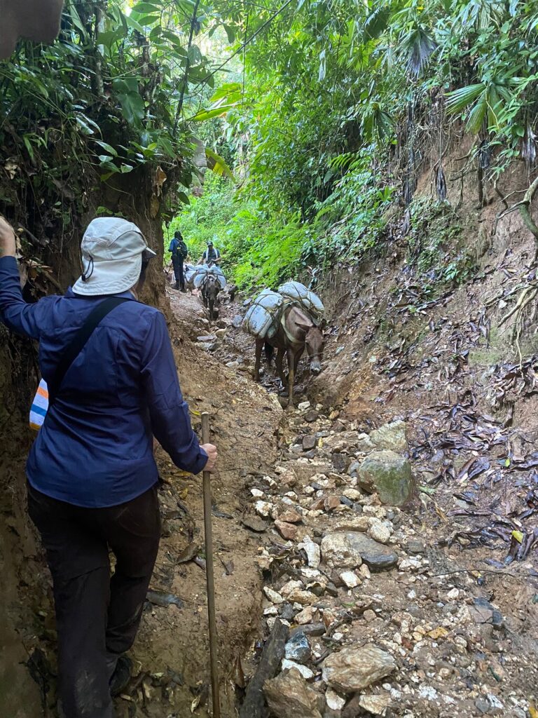 Bild #3 von Joscha S