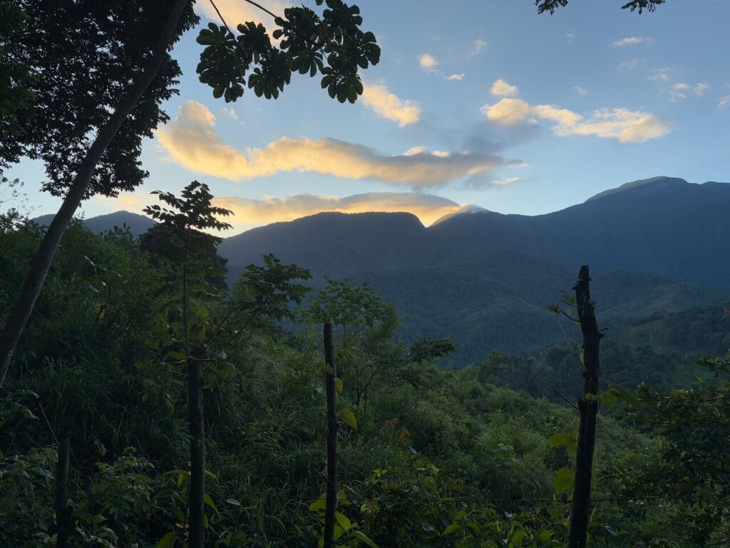 Afbeelding #1 van CNQ