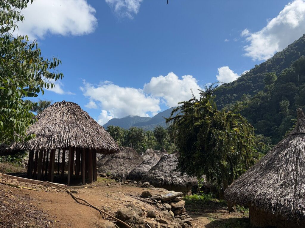 Afbeelding #2 van CNQ