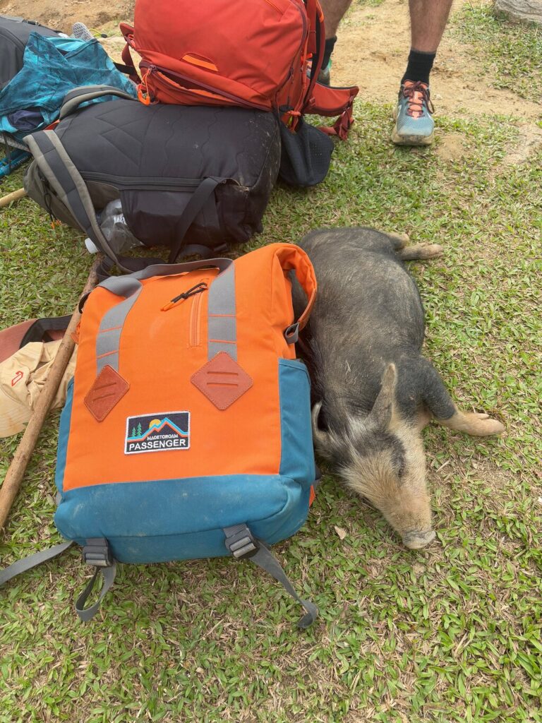 Afbeelding #3 van CNQ