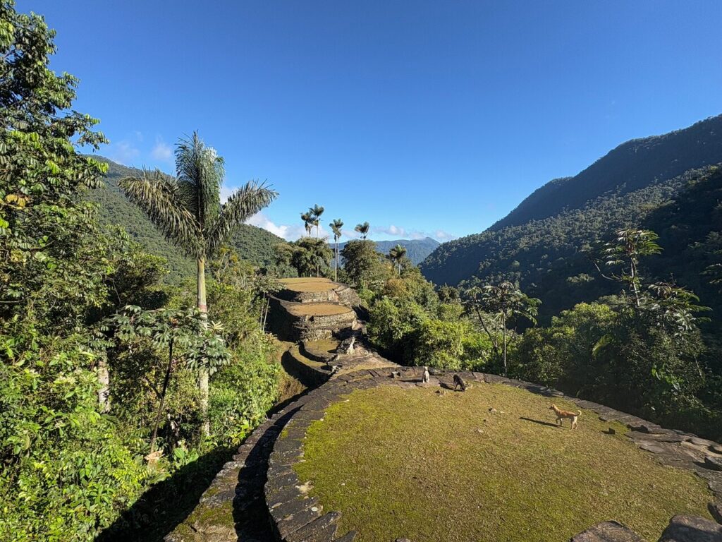 Afbeelding #6 van CNQ