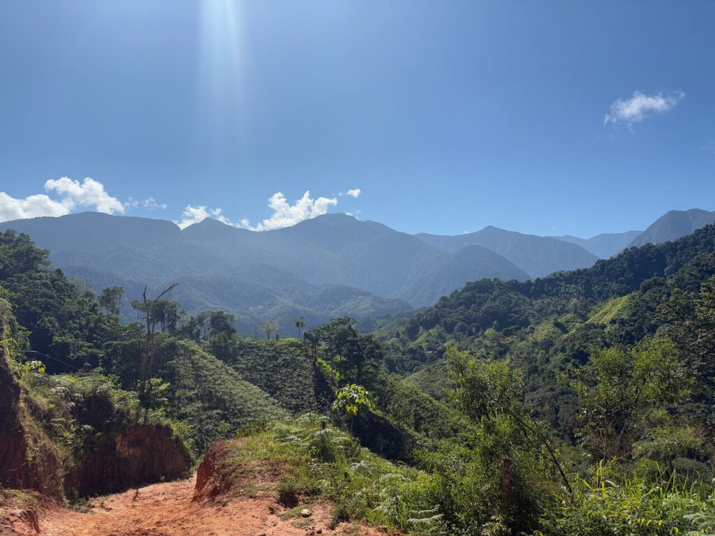 Afbeelding #8 van CNQ