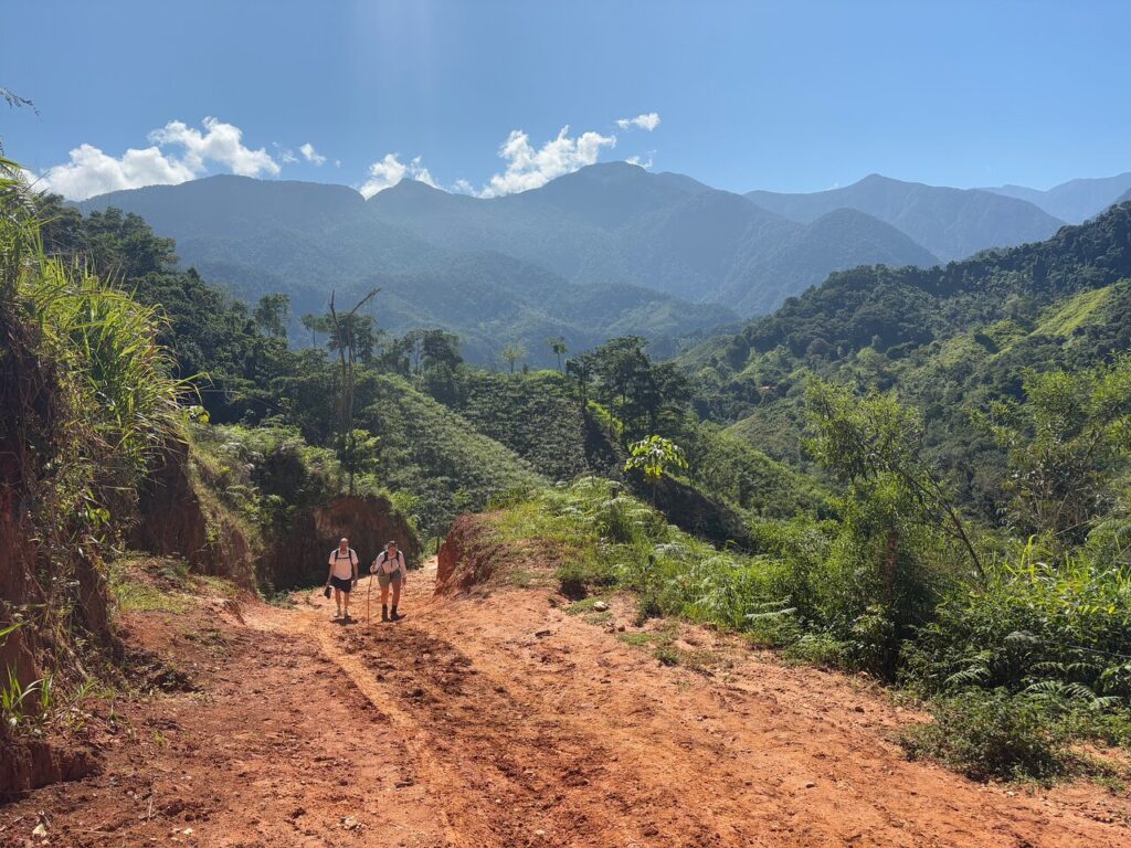 Afbeelding #9 van CNQ