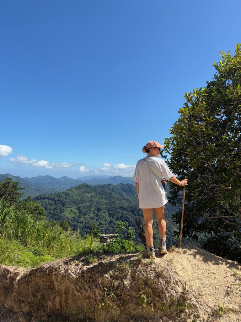 Afbeelding #11 van CNQ