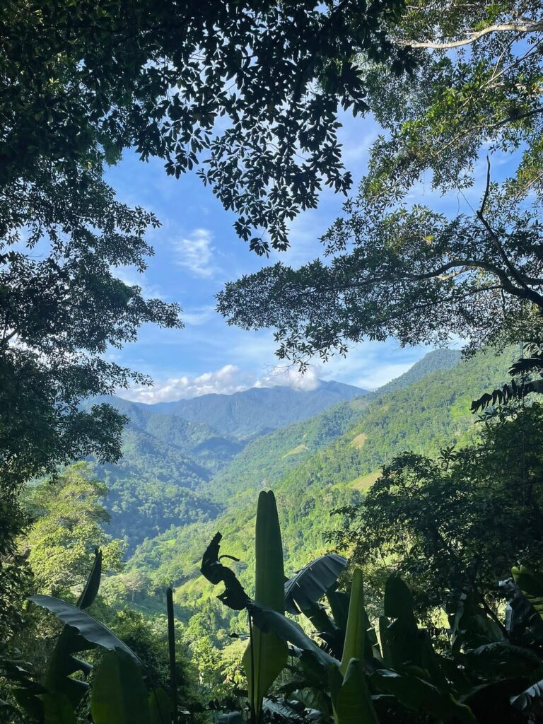 Afbeelding #2 van IngrithL