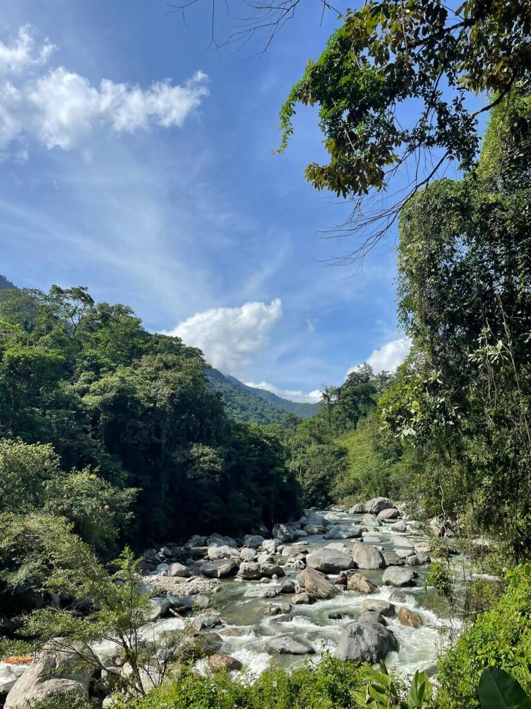 Afbeelding #4 van IngrithL