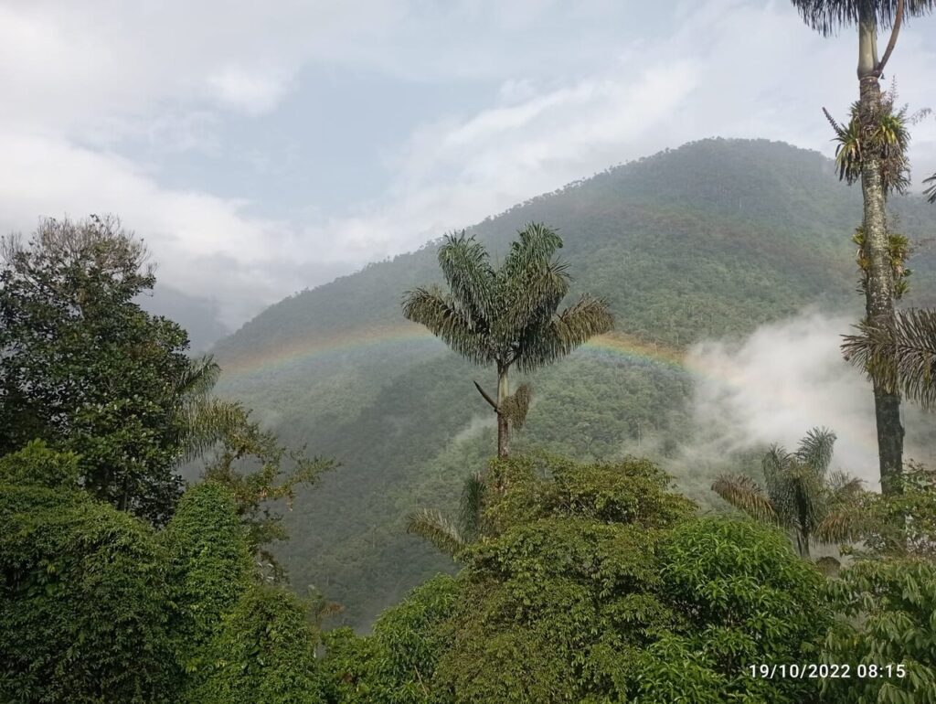 Afbeelding #6 van IngrithL