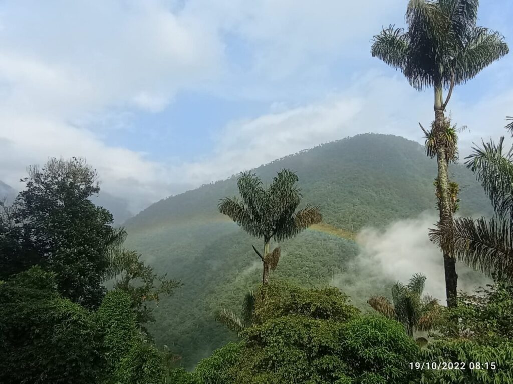 Afbeelding #7 van IngrithL