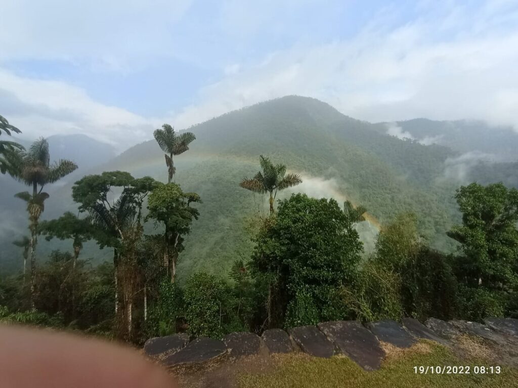 Afbeelding #8 van IngrithL