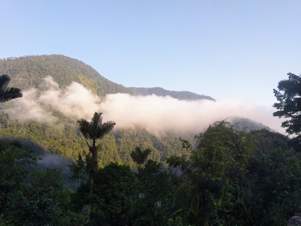 Image #1 de oxbow34625