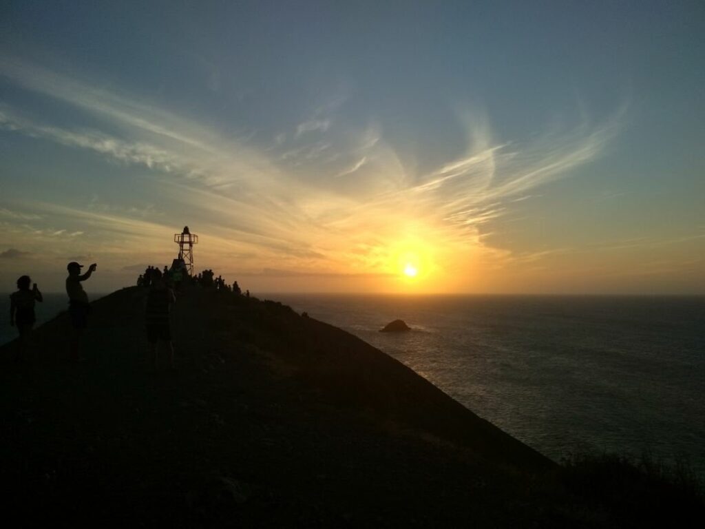 Afbeelding #3 van Rocio J