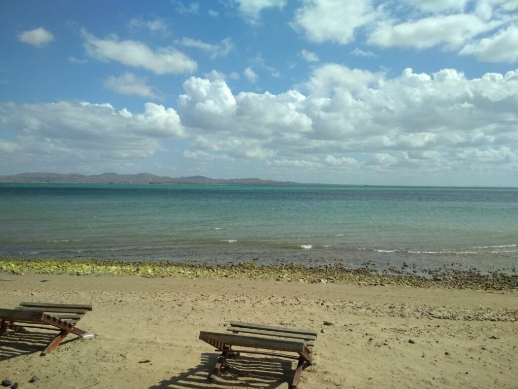 Afbeelding #9 van Rocio J