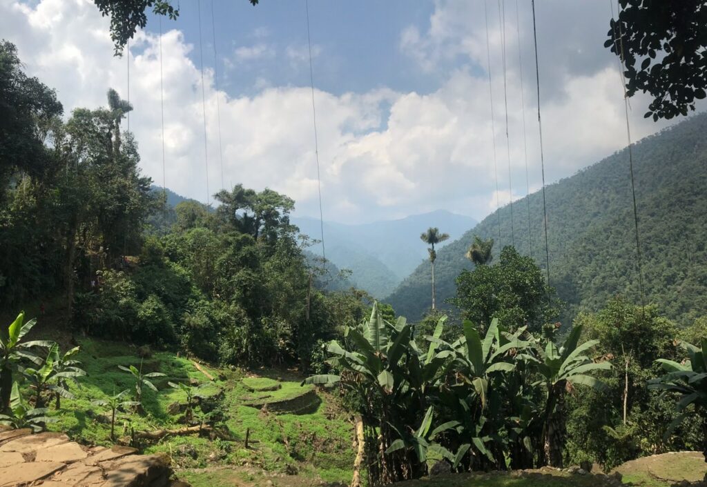 Image #2 de Sidonie M