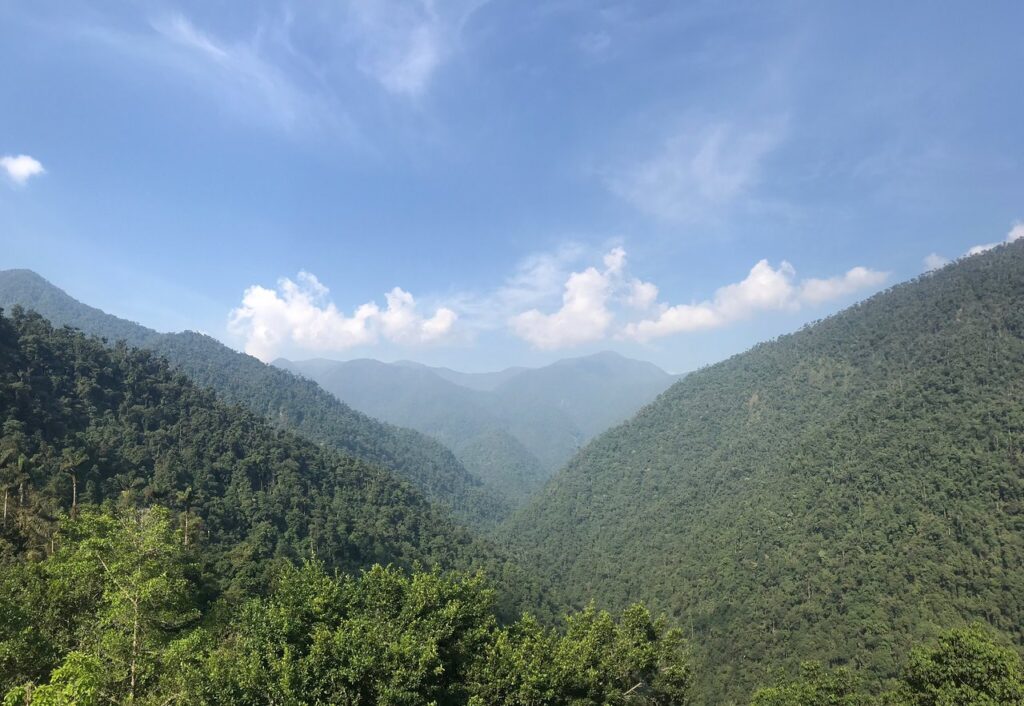 Image #1 de Sidonie M